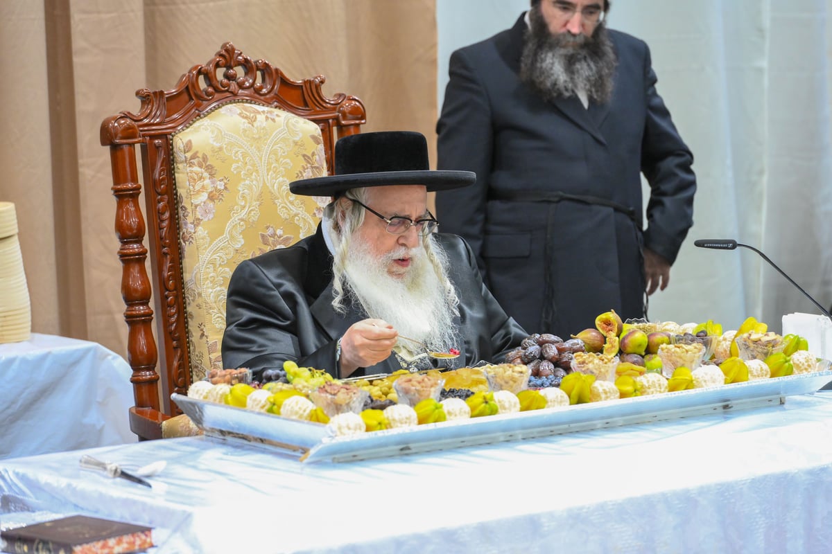 בהשתתפות אלפים: כך חגגו ט"ו בשבט בחסידות צאנז