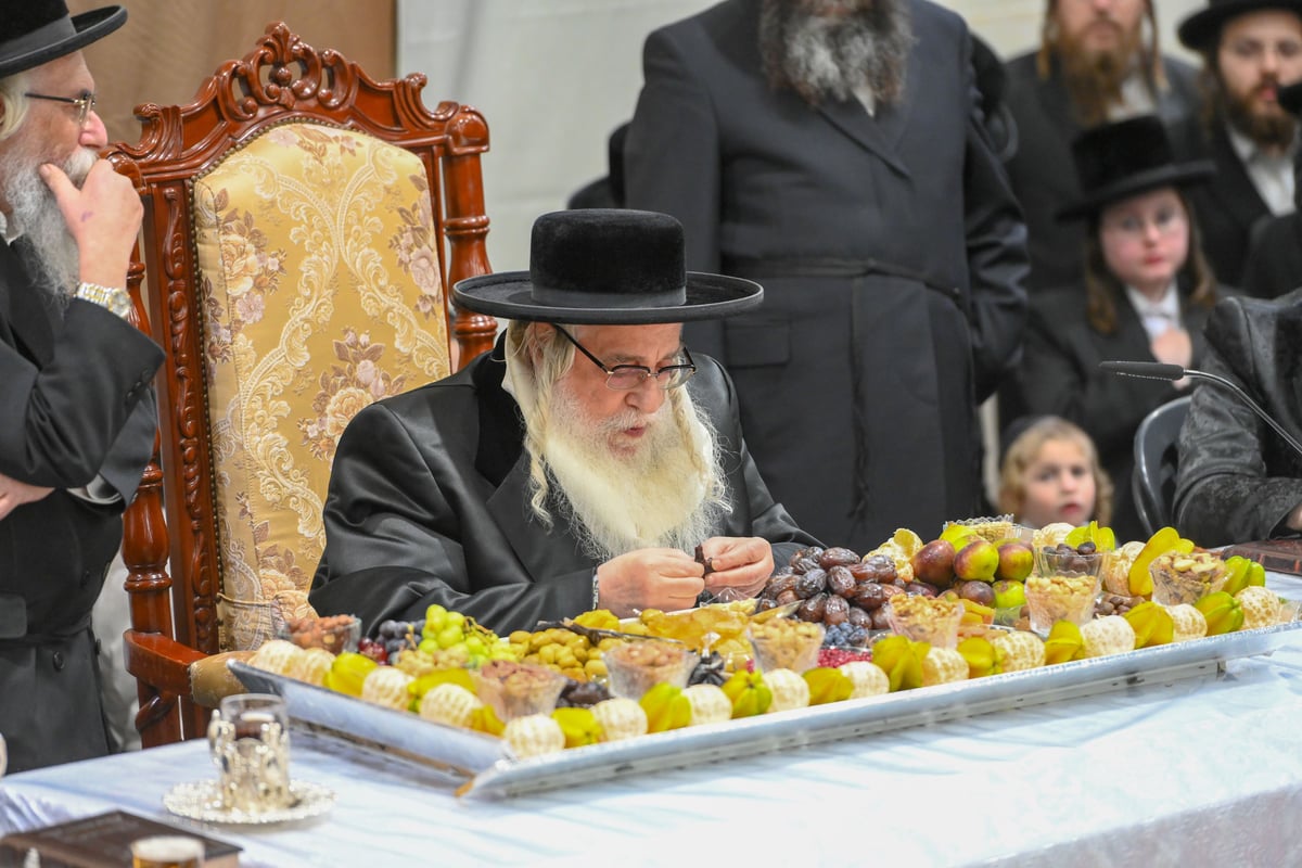 בהשתתפות אלפים: כך חגגו ט"ו בשבט בחסידות צאנז