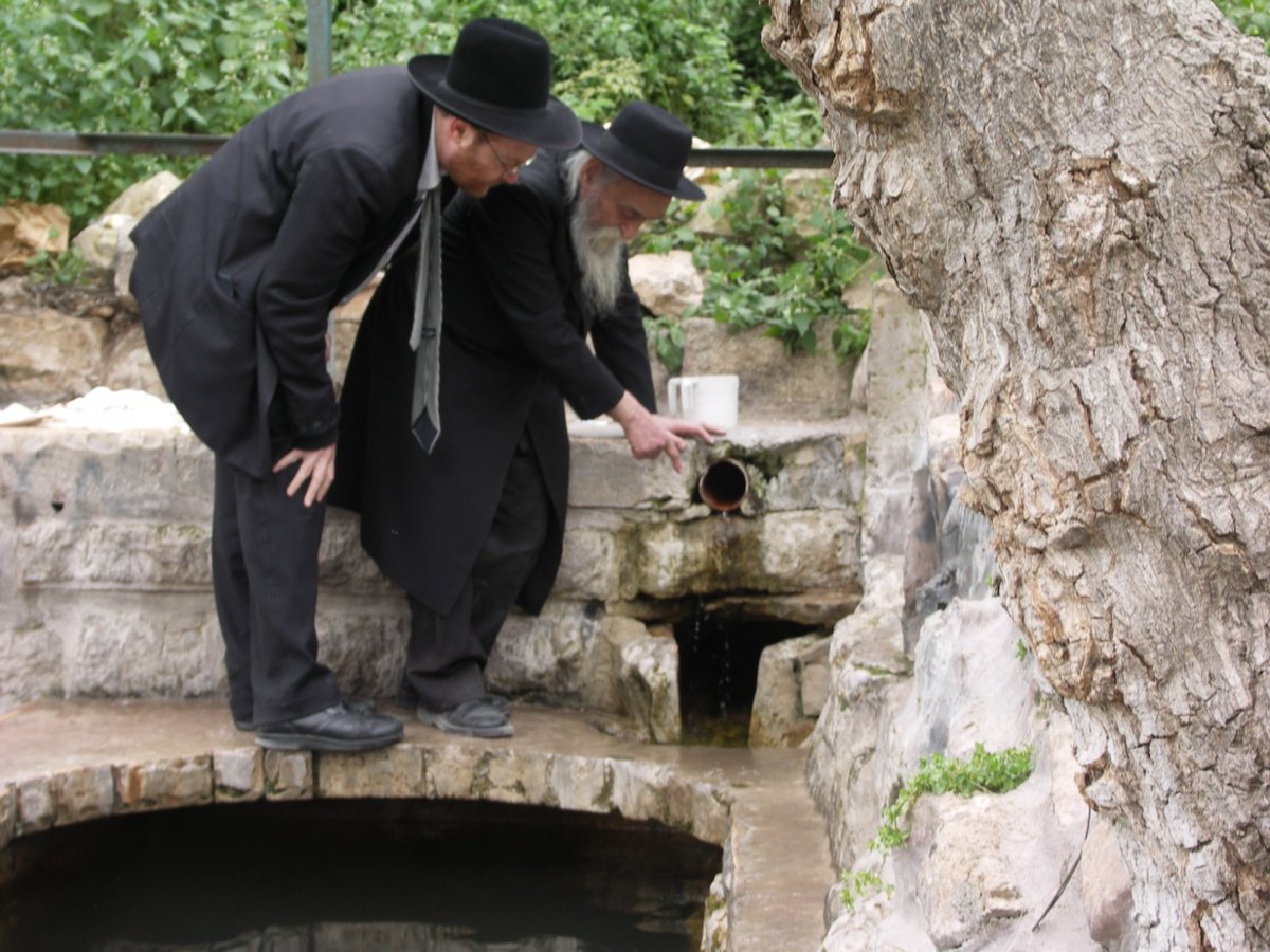 הרב שמעון יוסף מלר, עם הגרמ"ד סולובייצ'יק