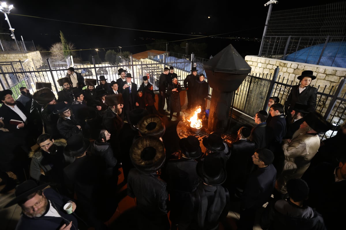 האדמו"ר משומרי אמונים שבת במירון; תיעוד