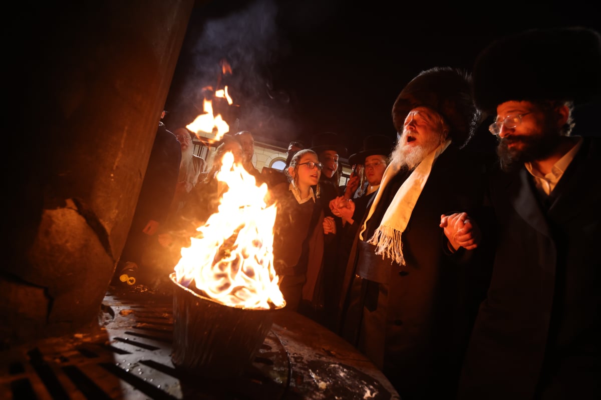 האדמו"ר משומרי אמונים שבת במירון; תיעוד