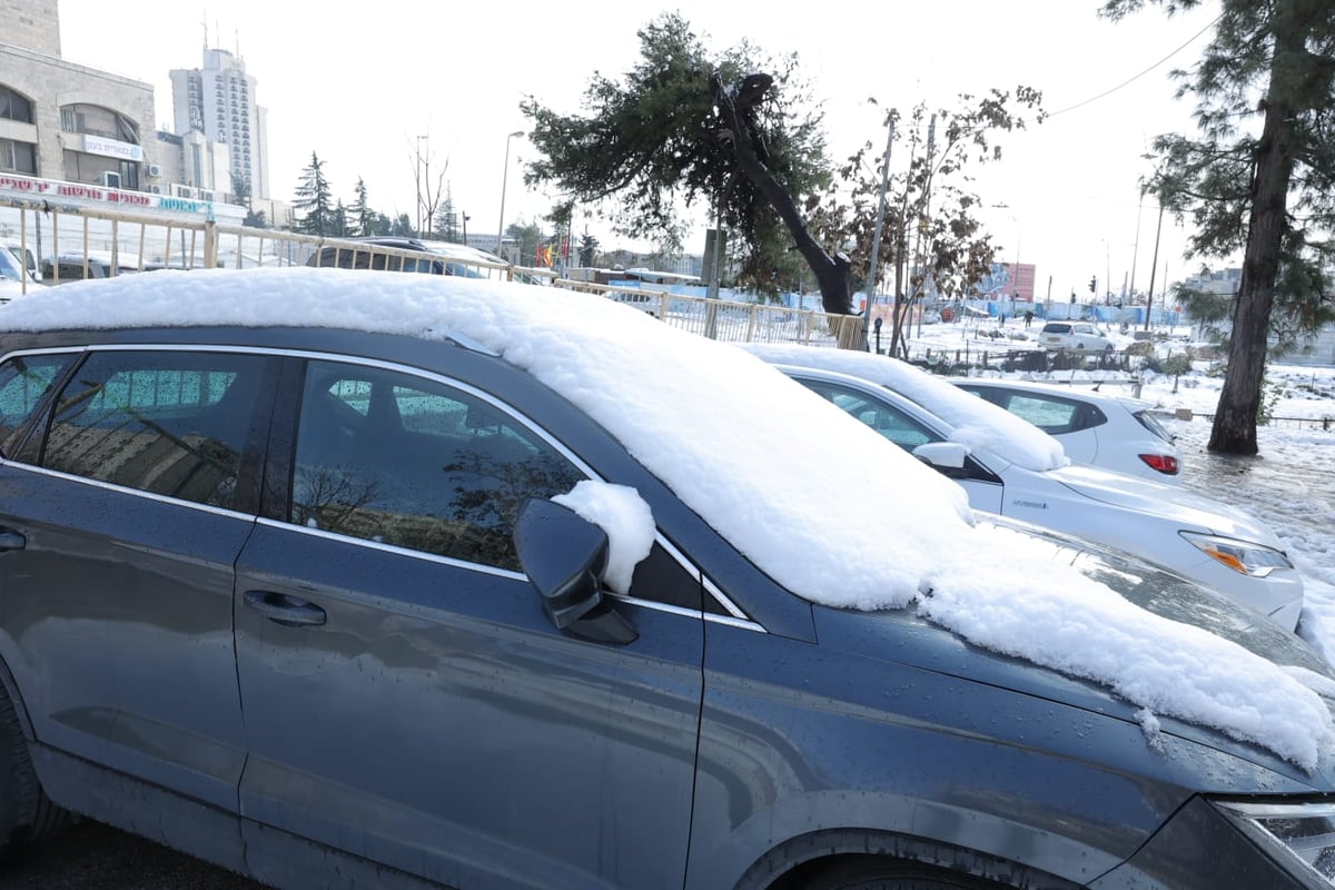 השלג הירושלמי והחגיגה ברחובות; גלריה