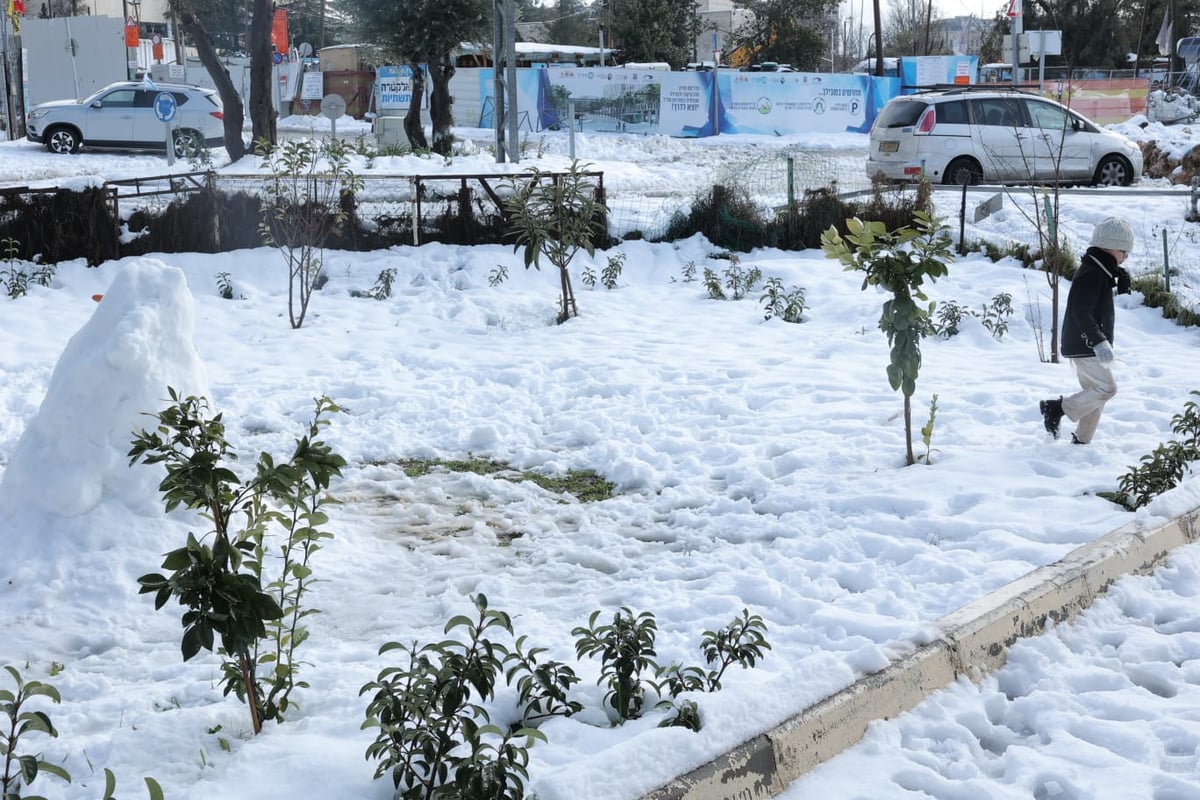 השלג הירושלמי והחגיגה ברחובות; גלריה