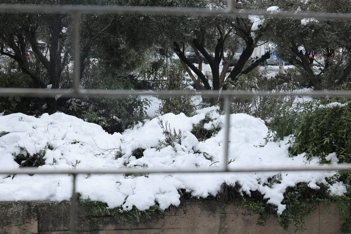 השלג הירושלמי והחגיגה ברחובות; גלריה