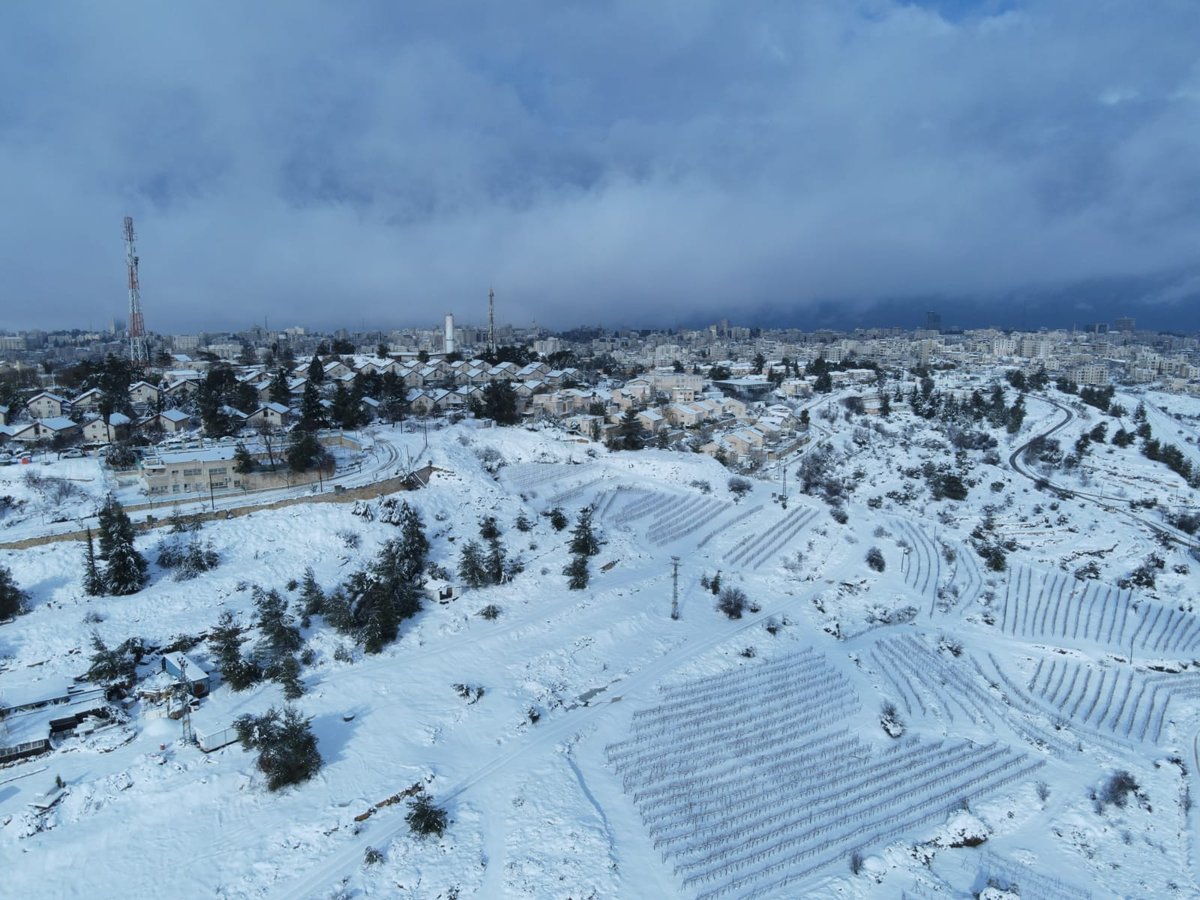 המוני ישראלים קמו לבוקר לבן • עדכונים ממוקדי השלג