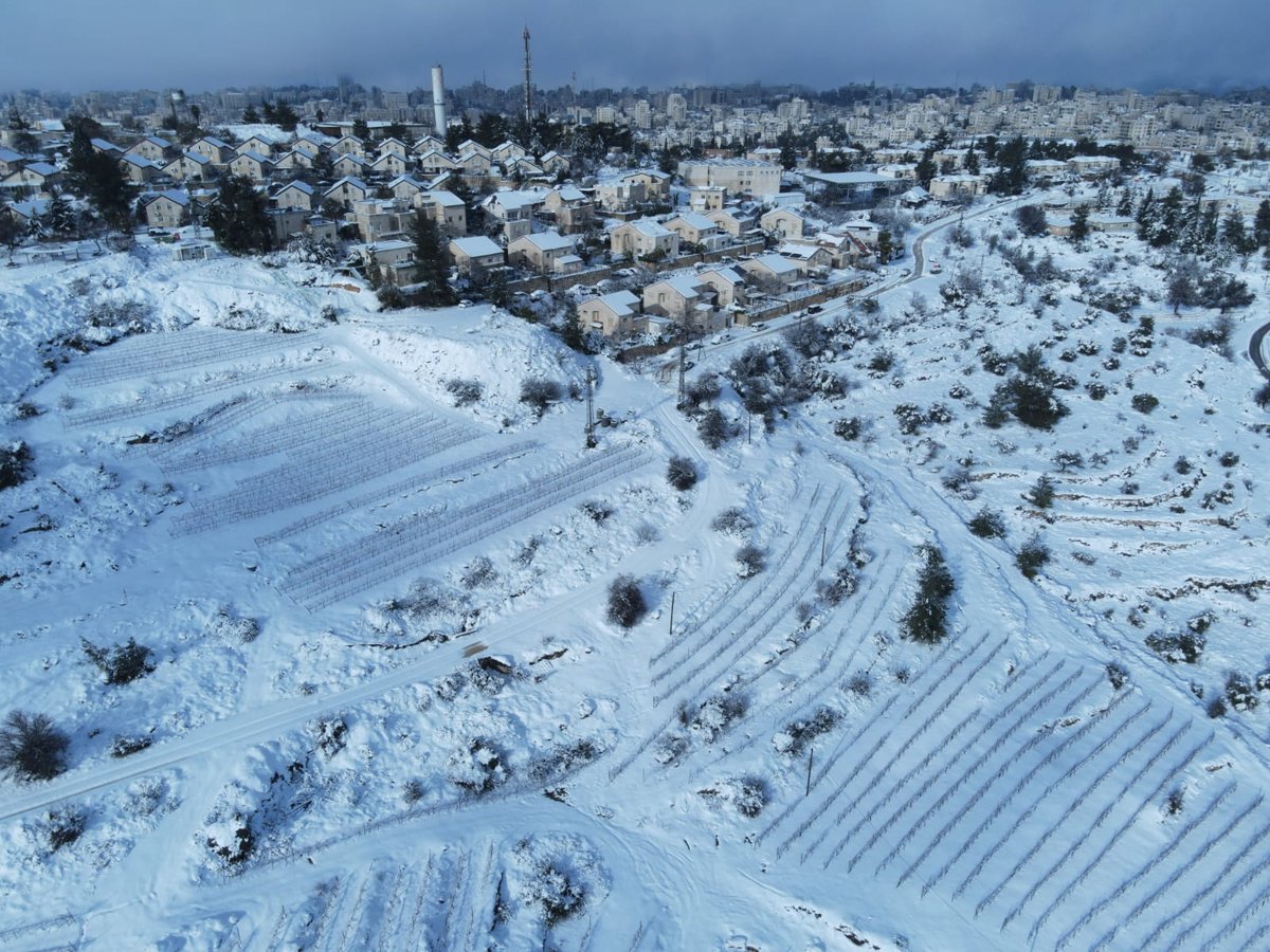 המוני ישראלים קמו לבוקר לבן • עדכונים ממוקדי השלג