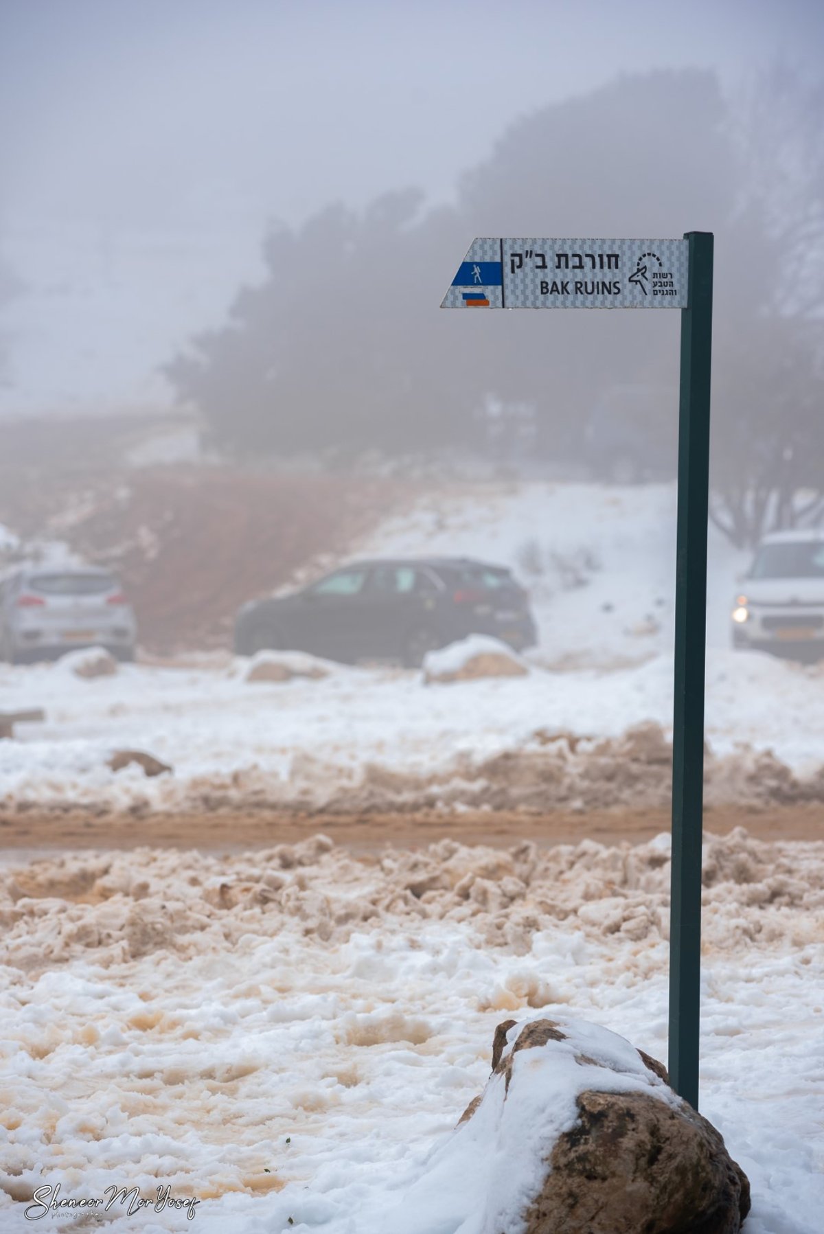 גלריה חורפית: השלג שירד בסופ"ש בהר מירון