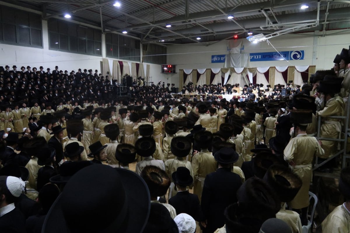 מאות בשמחת החתונה לנכד האדמו"ר מתוא"י