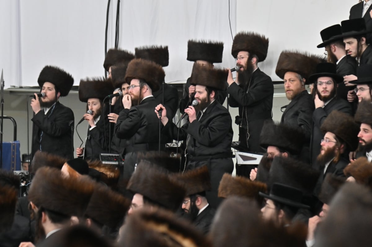 נכדת האדמו"ר מויז'ניץ נישאה בארה"ב • תיעוד