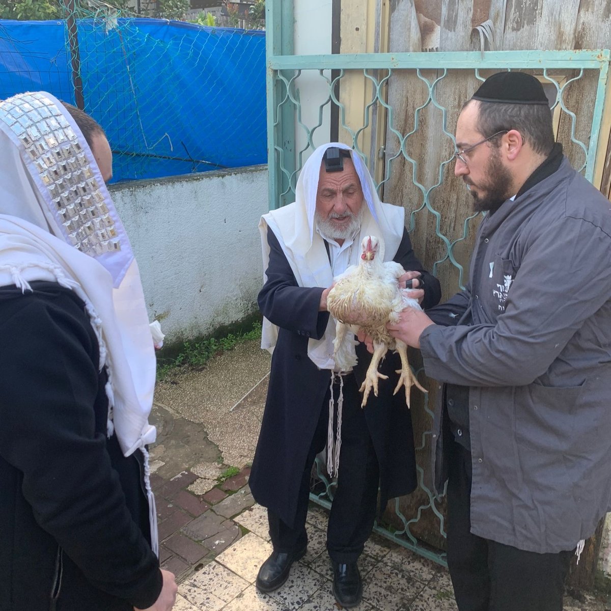 זופניק בכיכר • כל התמונות והנייעס של השבוע