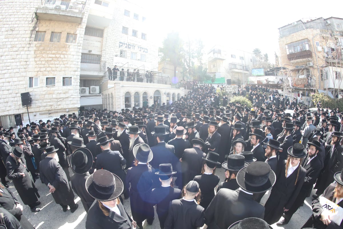 תיעוד: האדמו"ר מטשאקווא הובא למנוחות