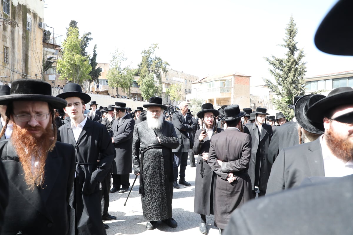 תיעוד: האדמו"ר מטשאקווא הובא למנוחות