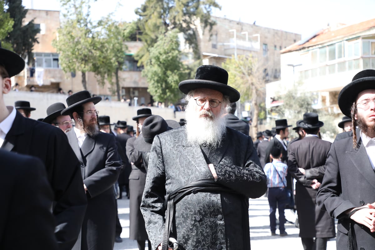 תיעוד: האדמו"ר מטשאקווא הובא למנוחות