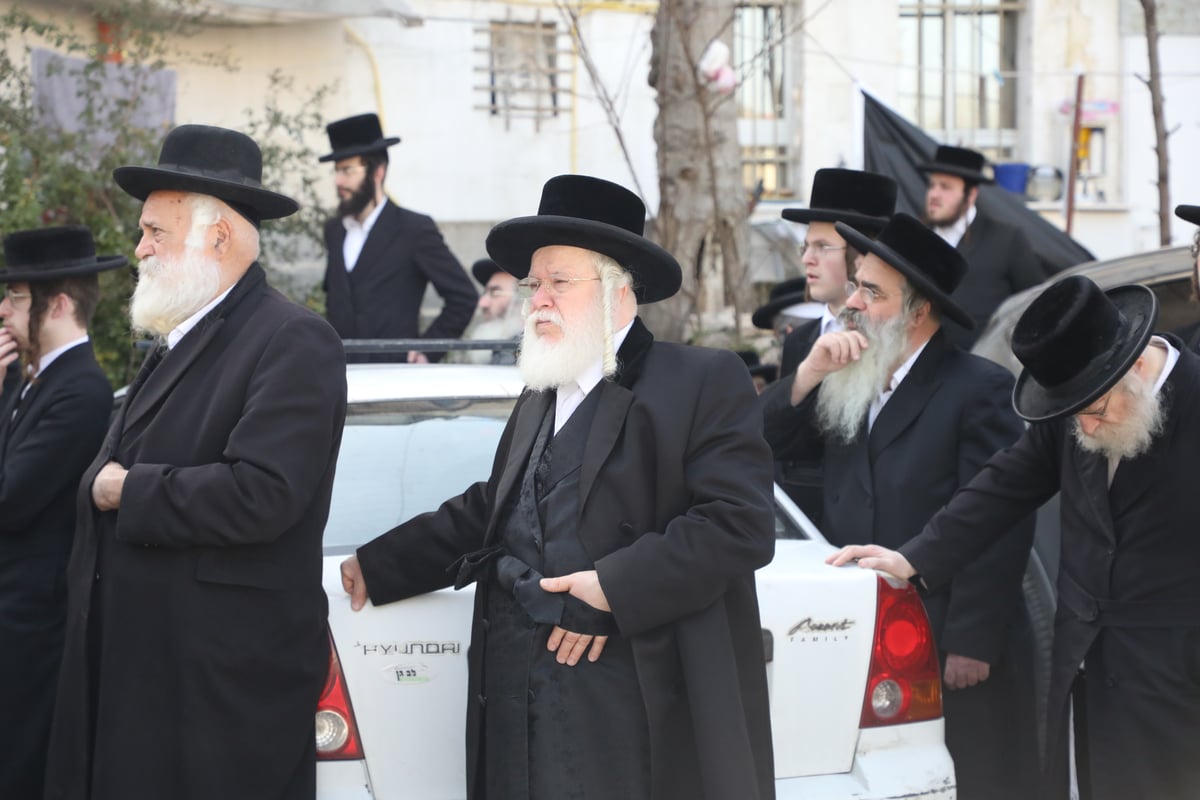 תיעוד: האדמו"ר מטשאקווא הובא למנוחות