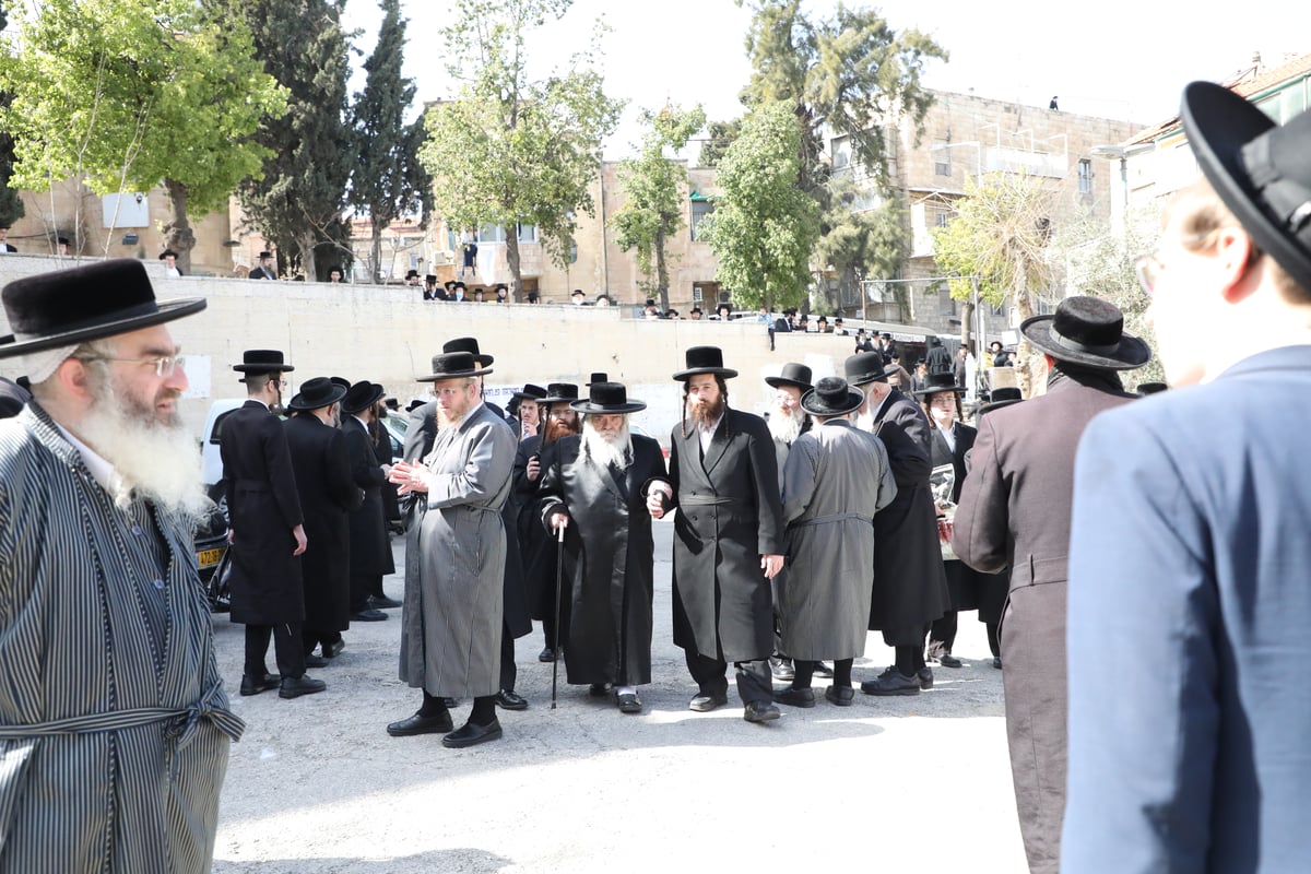 תיעוד: האדמו"ר מטשאקווא הובא למנוחות