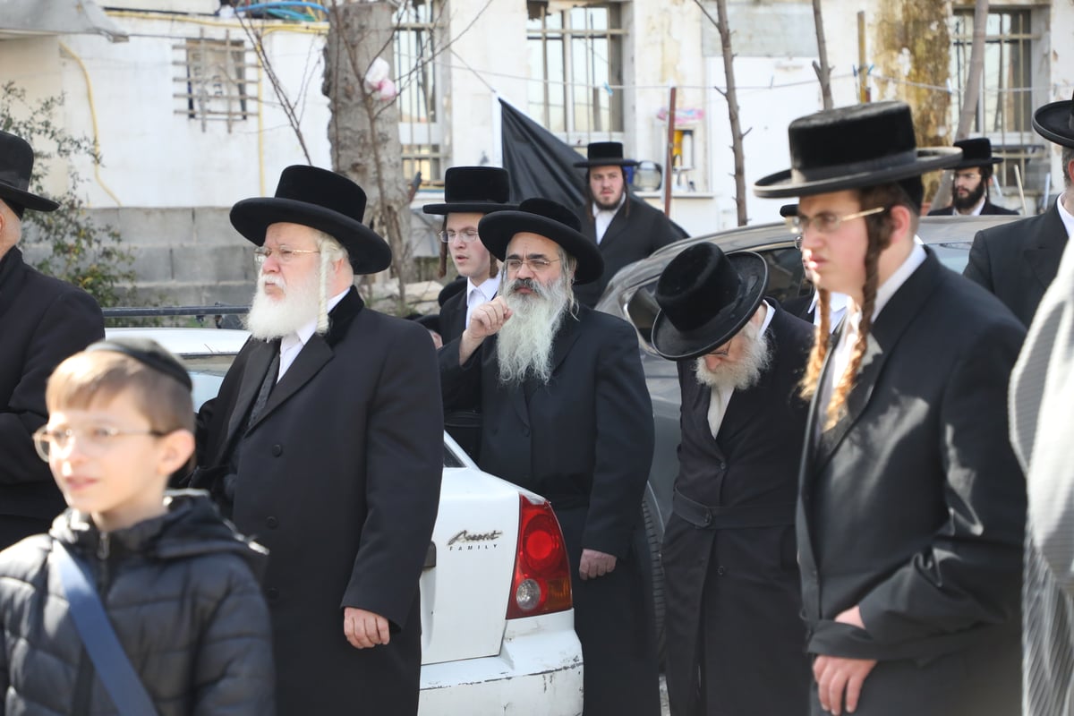 תיעוד: האדמו"ר מטשאקווא הובא למנוחות