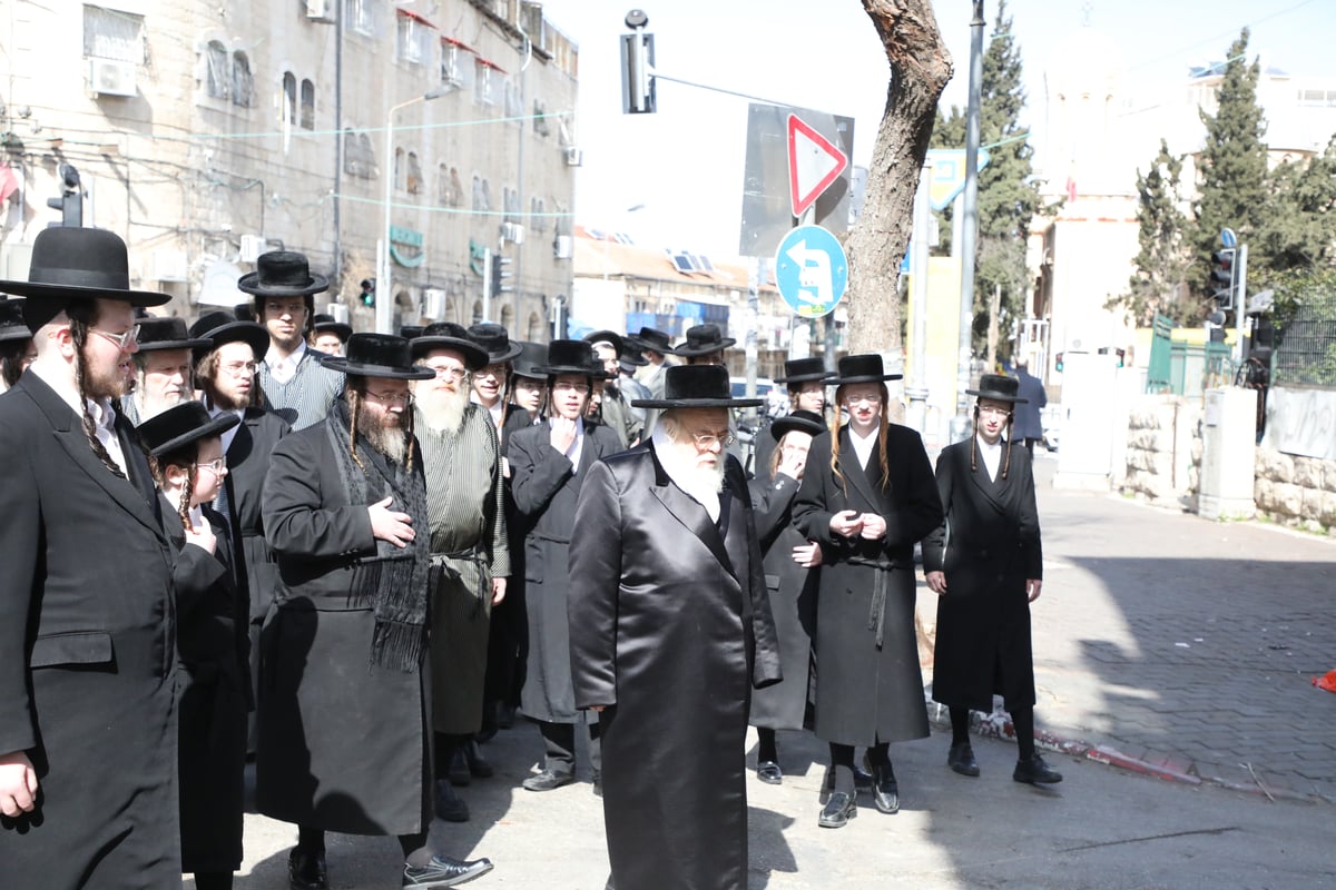 תיעוד: האדמו"ר מטשאקווא הובא למנוחות