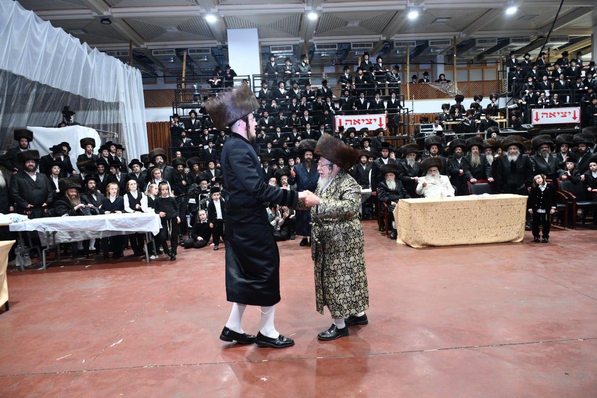 אלפי חסידי צאנז חגגו את נישואי נכדת האדמו"ר