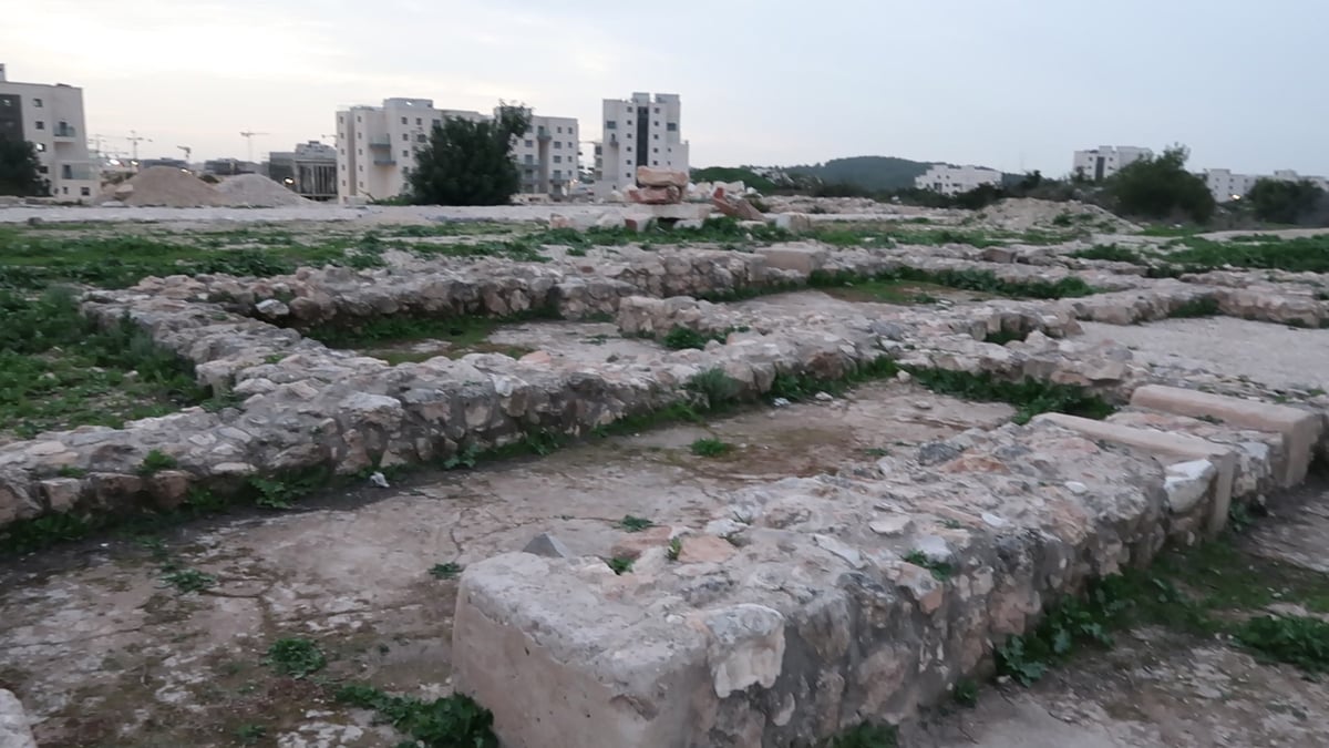 בנייני רמת בית שמש ד' הצמודים לירמות