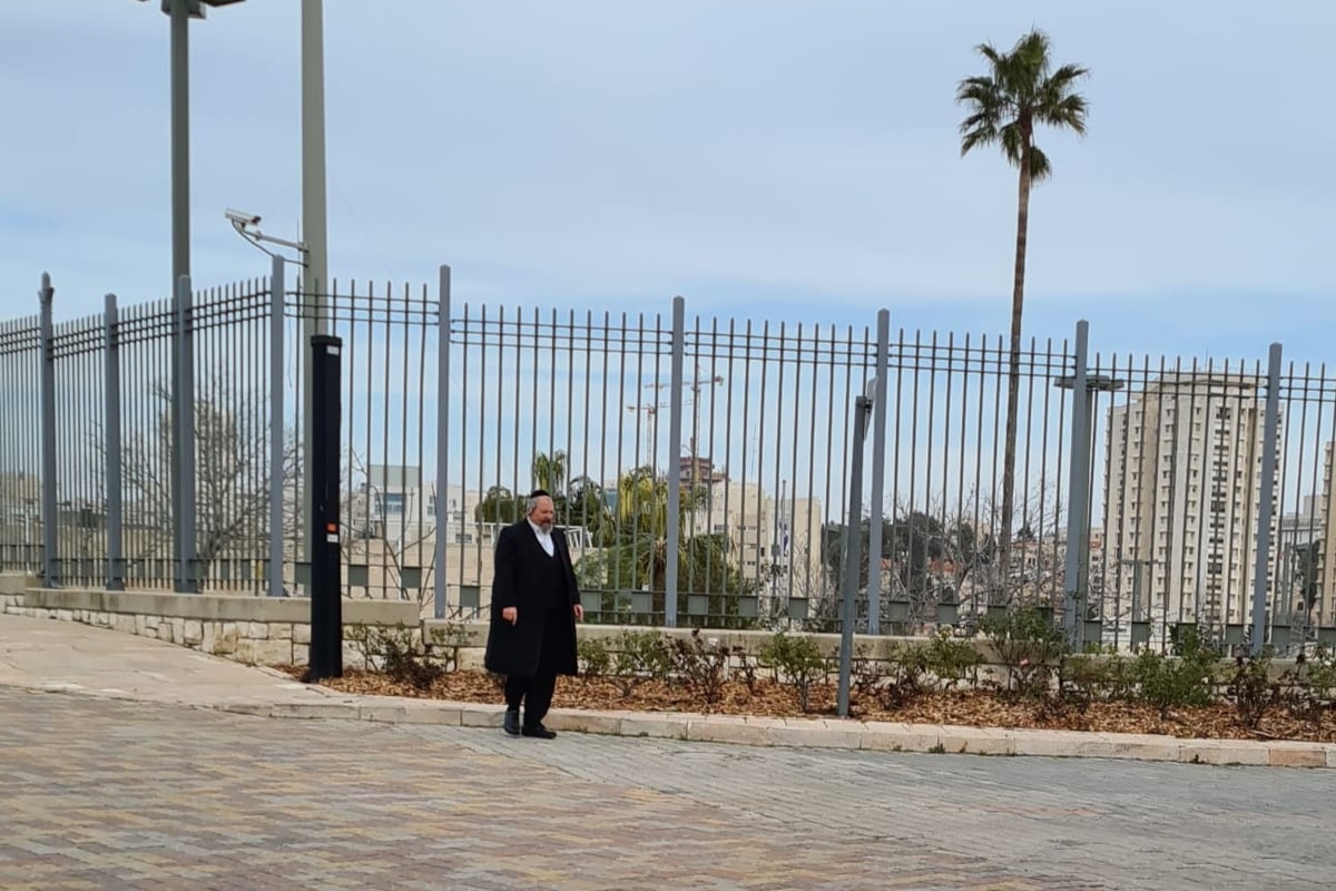 זופניק בכיכר • כל התמונות והנייעס של השבוע