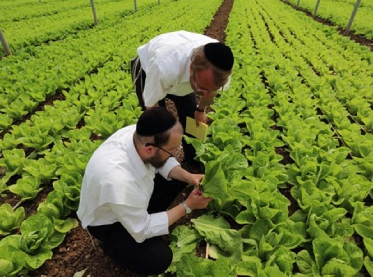 מרן שר התורה שקרא את המכתב במשך דקות ארוכות והשיב כן