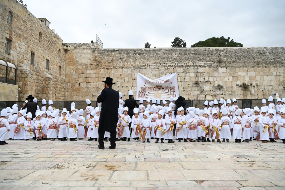 מרהיב: "הלווים" הגיעו לתפילה בכותל • צפו