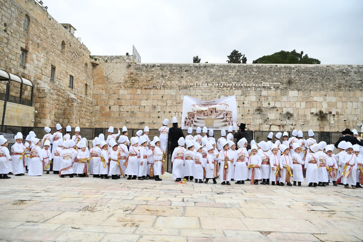 מרהיב: "הלווים" הגיעו לתפילה בכותל • צפו