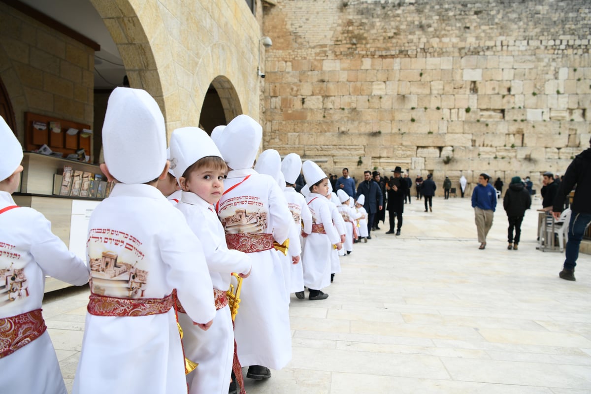 מרהיב: "הלווים" הגיעו לתפילה בכותל • צפו