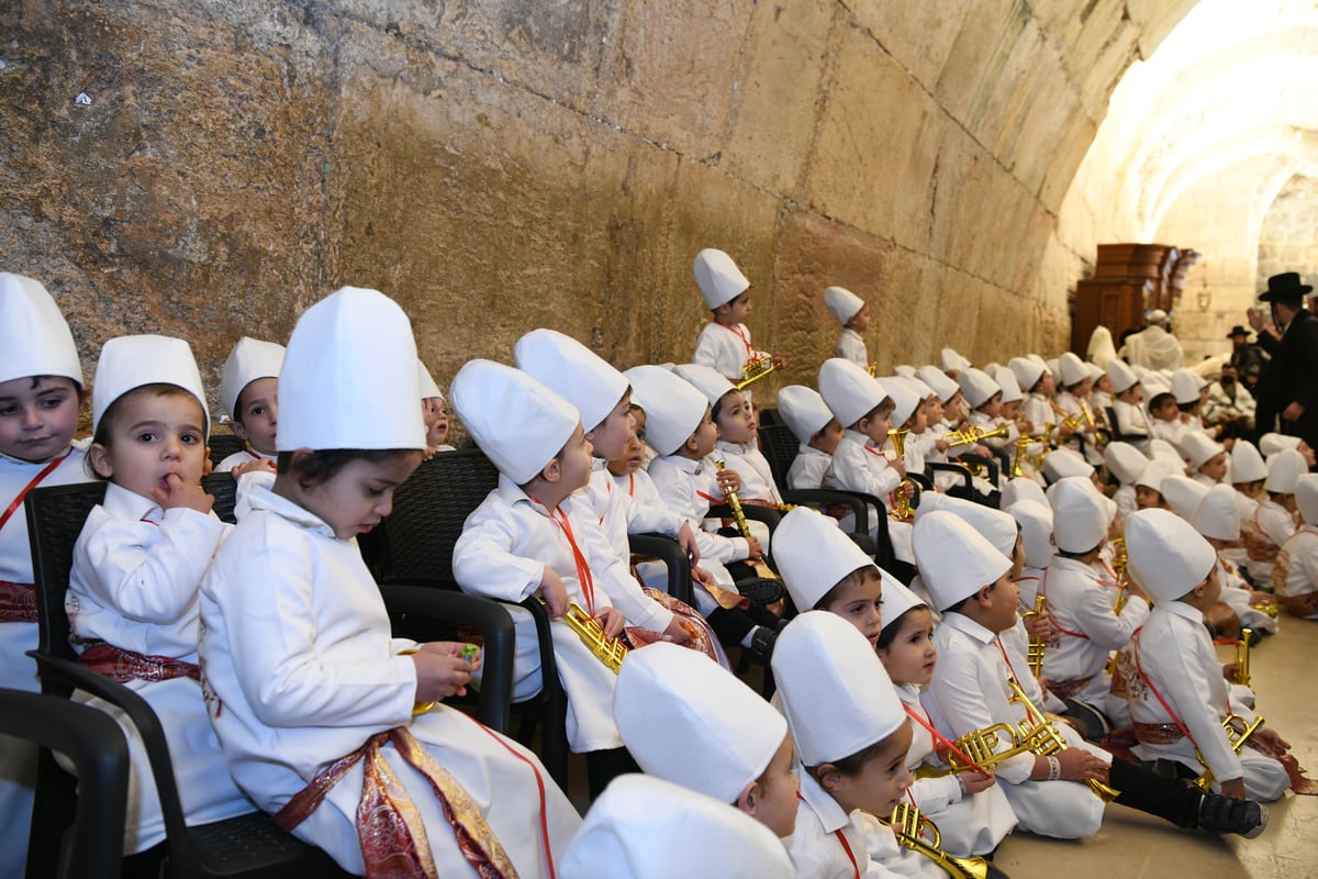 מרהיב: "הלווים" הגיעו לתפילה בכותל • צפו