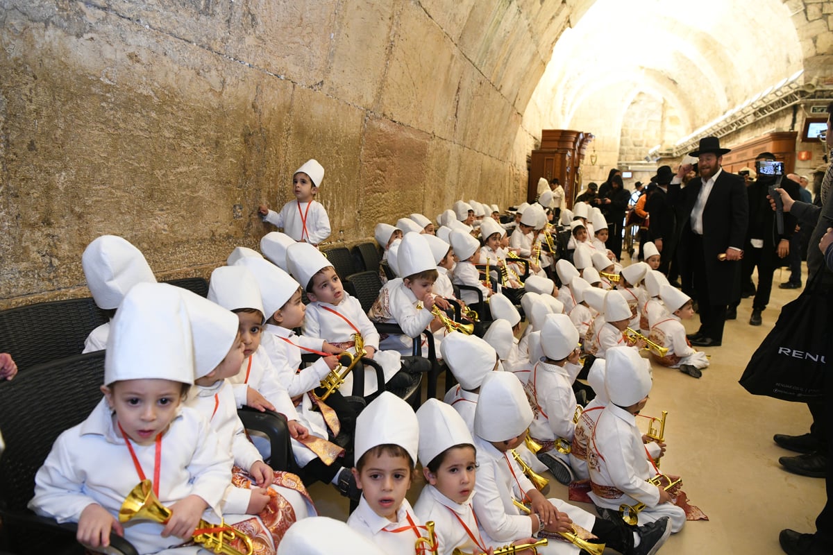 מרהיב: "הלווים" הגיעו לתפילה בכותל • צפו