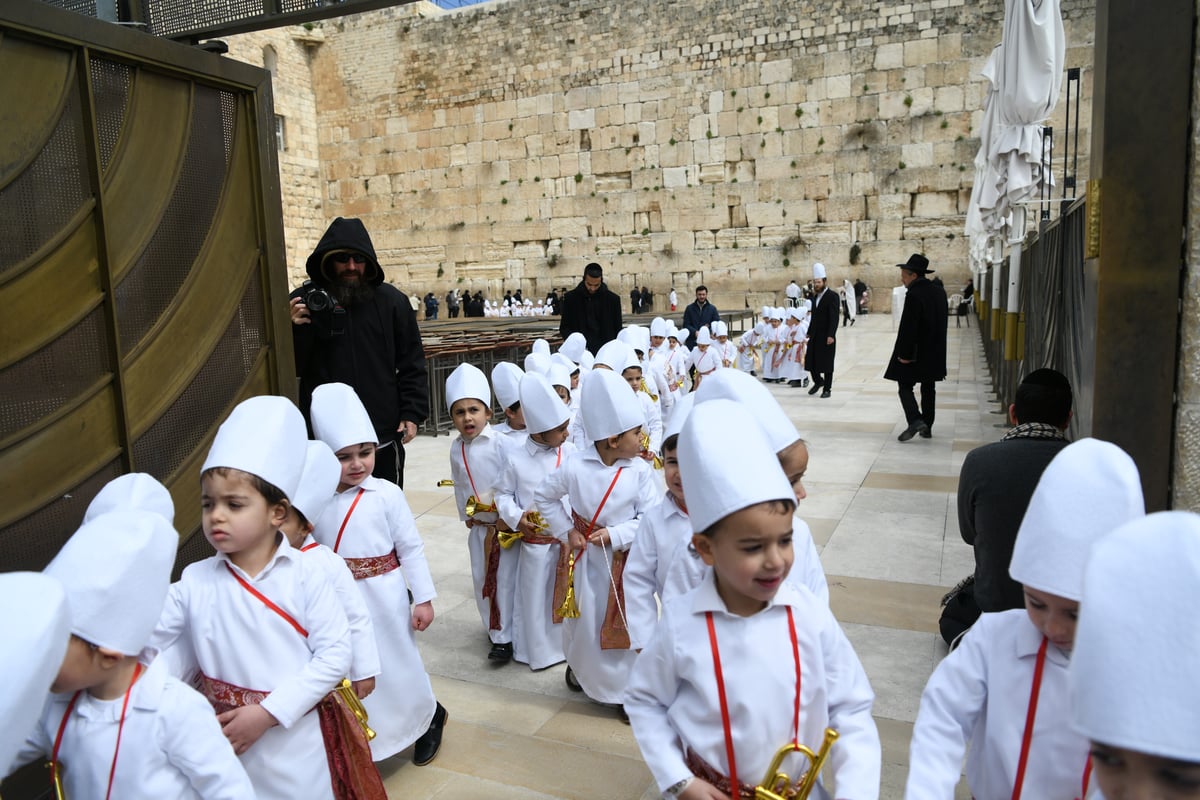 מרהיב: "הלווים" הגיעו לתפילה בכותל • צפו