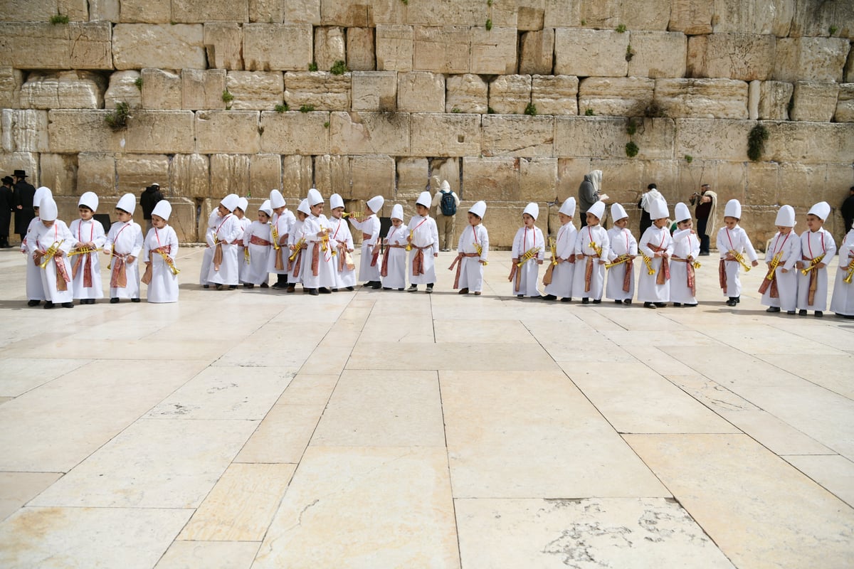 מרהיב: "הלווים" הגיעו לתפילה בכותל • צפו