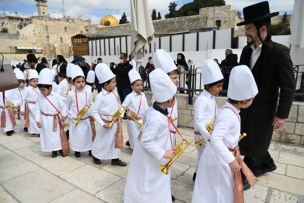 מרהיב: "הלווים" הגיעו לתפילה בכותל • צפו