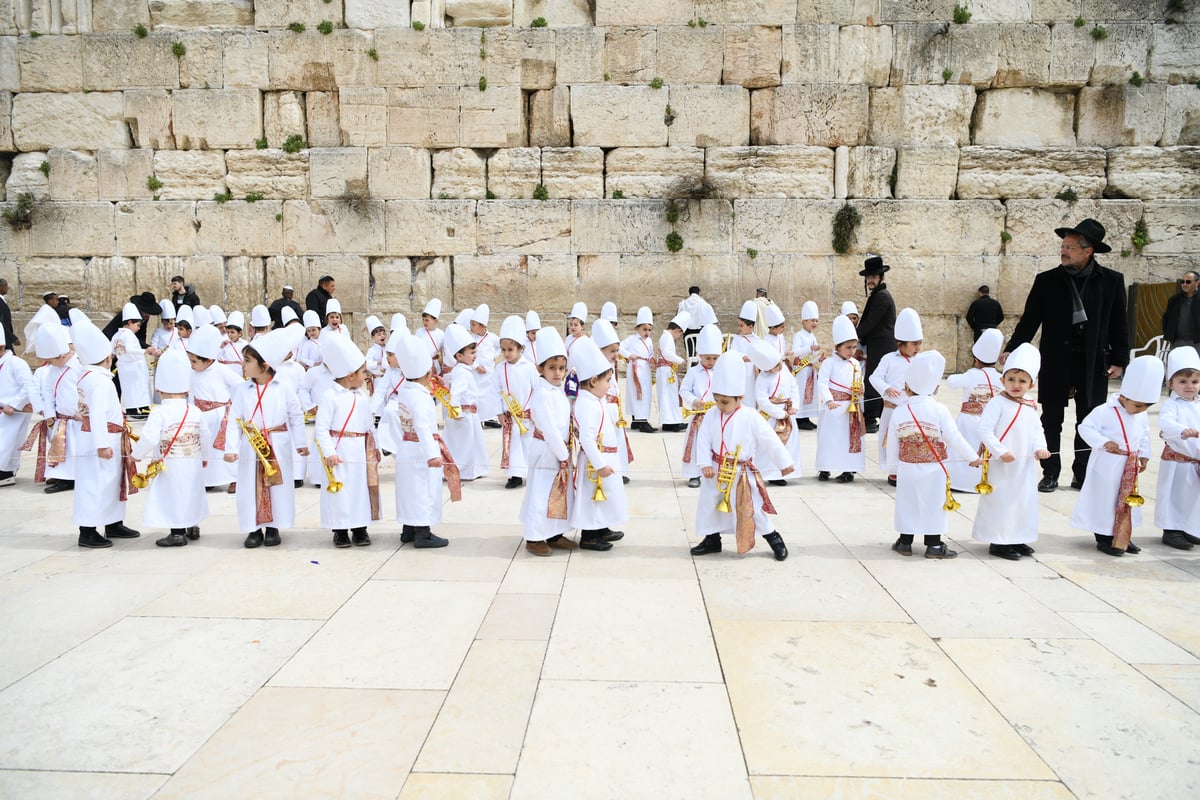 מרהיב: "הלווים" הגיעו לתפילה בכותל • צפו