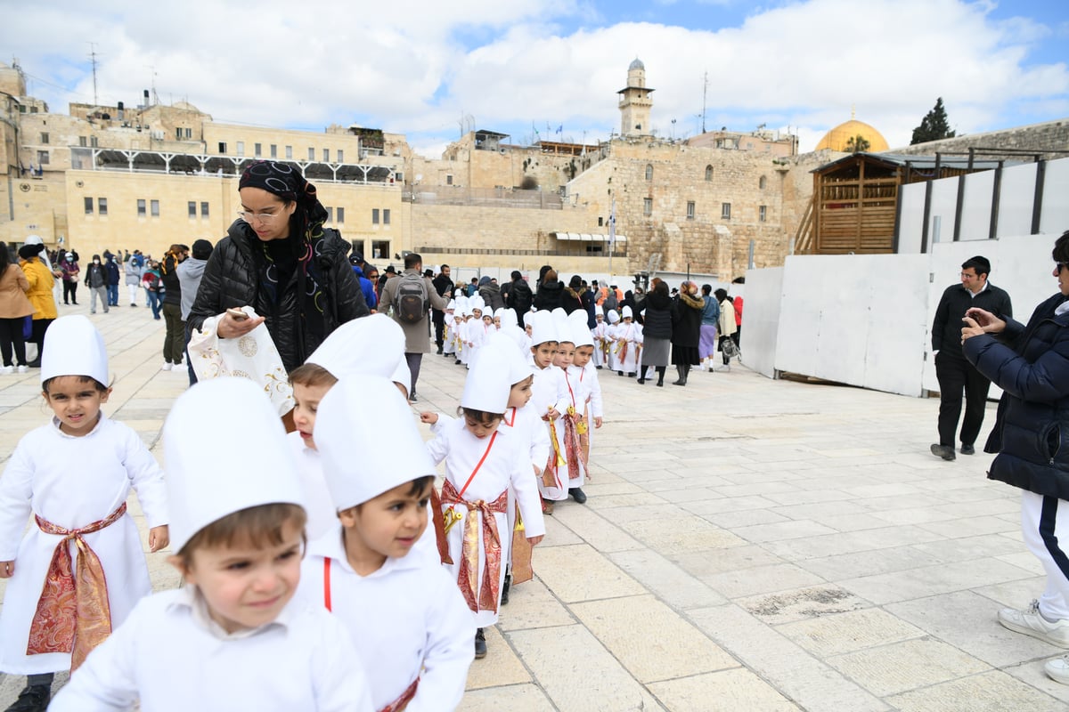 מרהיב: "הלווים" הגיעו לתפילה בכותל • צפו