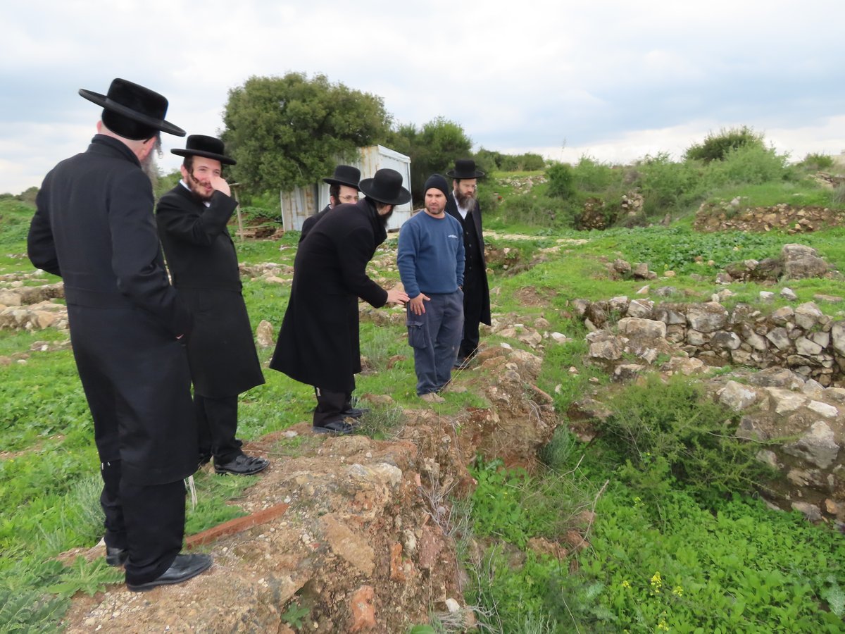 ​סיור רבנים בתל ירמות שנערך ביום שני י"א אדר א, בליוי הסברים של הארכיאולוג עומר שלו מנהל המרכז הארכיאלוגי ירושלים מרשות העתיקות מנהל האתר הארכיאולוגי תל ירמות