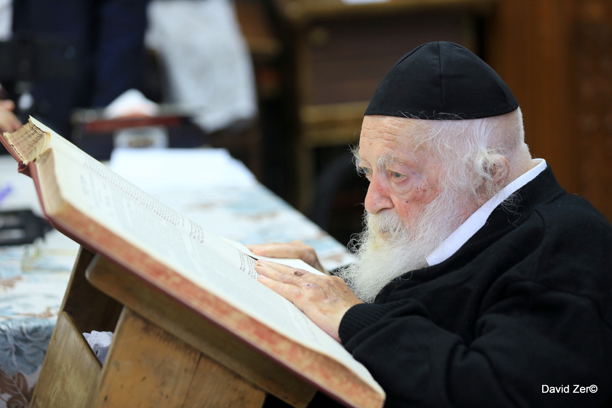 שנים של עמל התורה; מראות חייו של מרן רבי חיים קנייבסקי זצ"ל