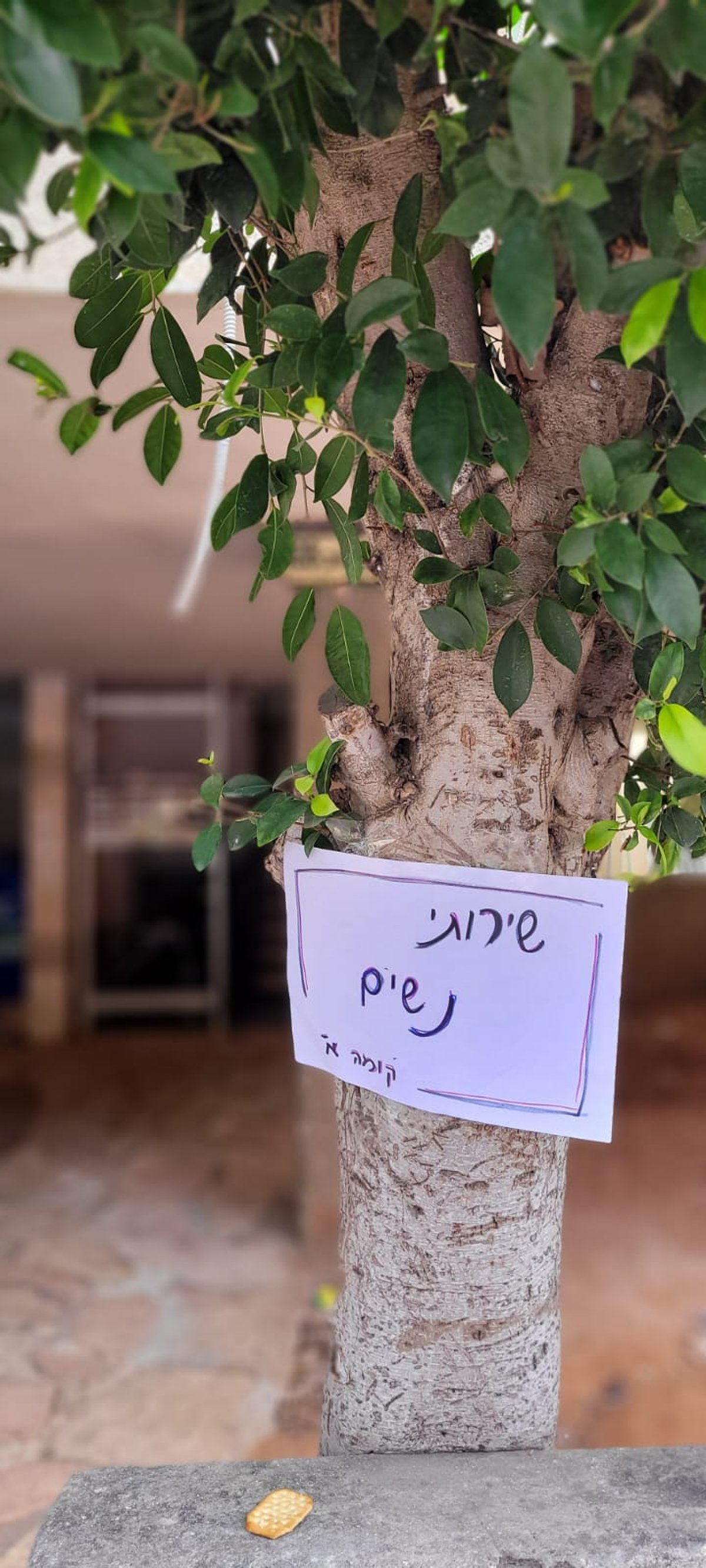 צפו בחסד ברחובות בני ברק במהלך הלוויה