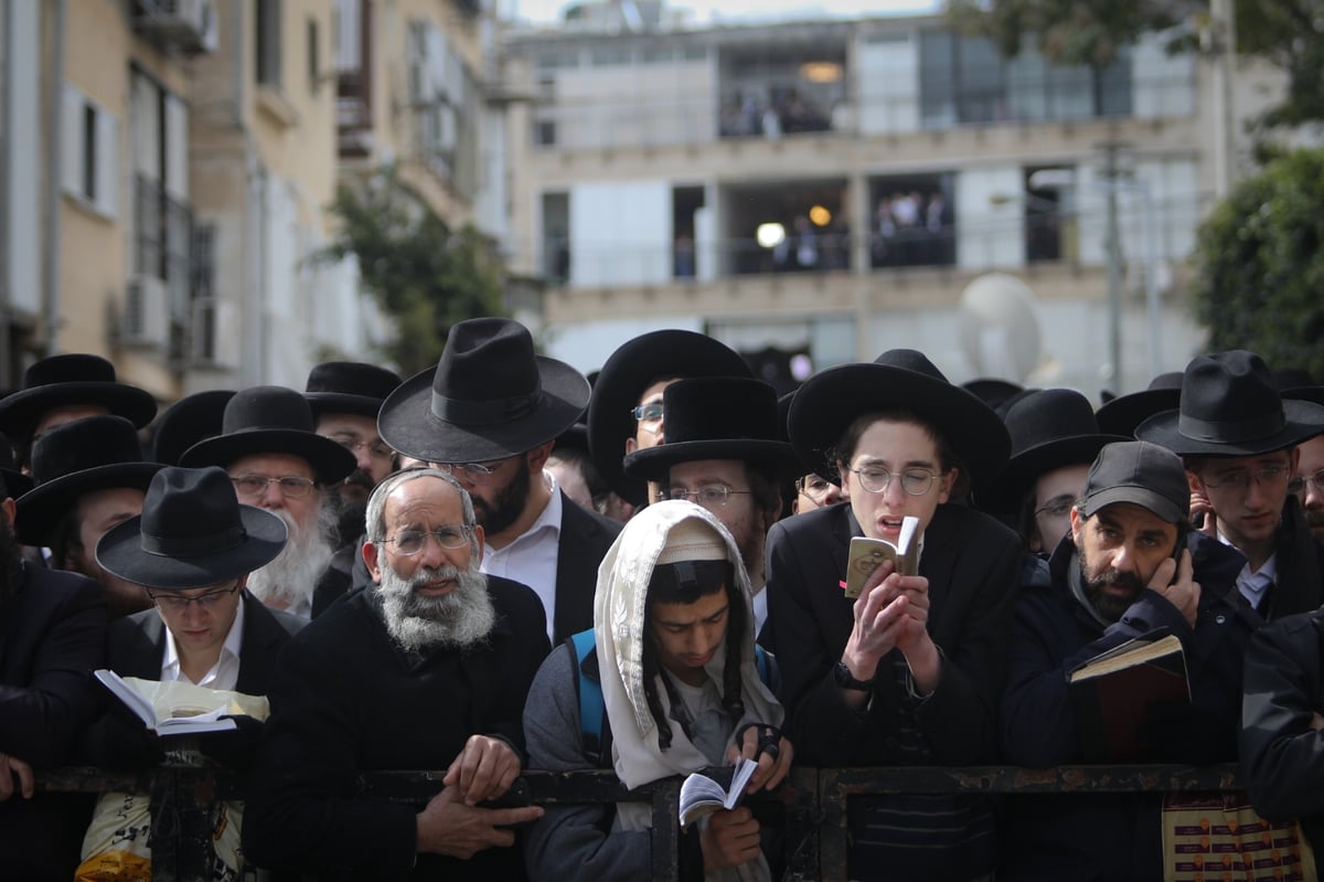 הדוחק, הבכיות ונשיאת הארון: גלריית סיכום