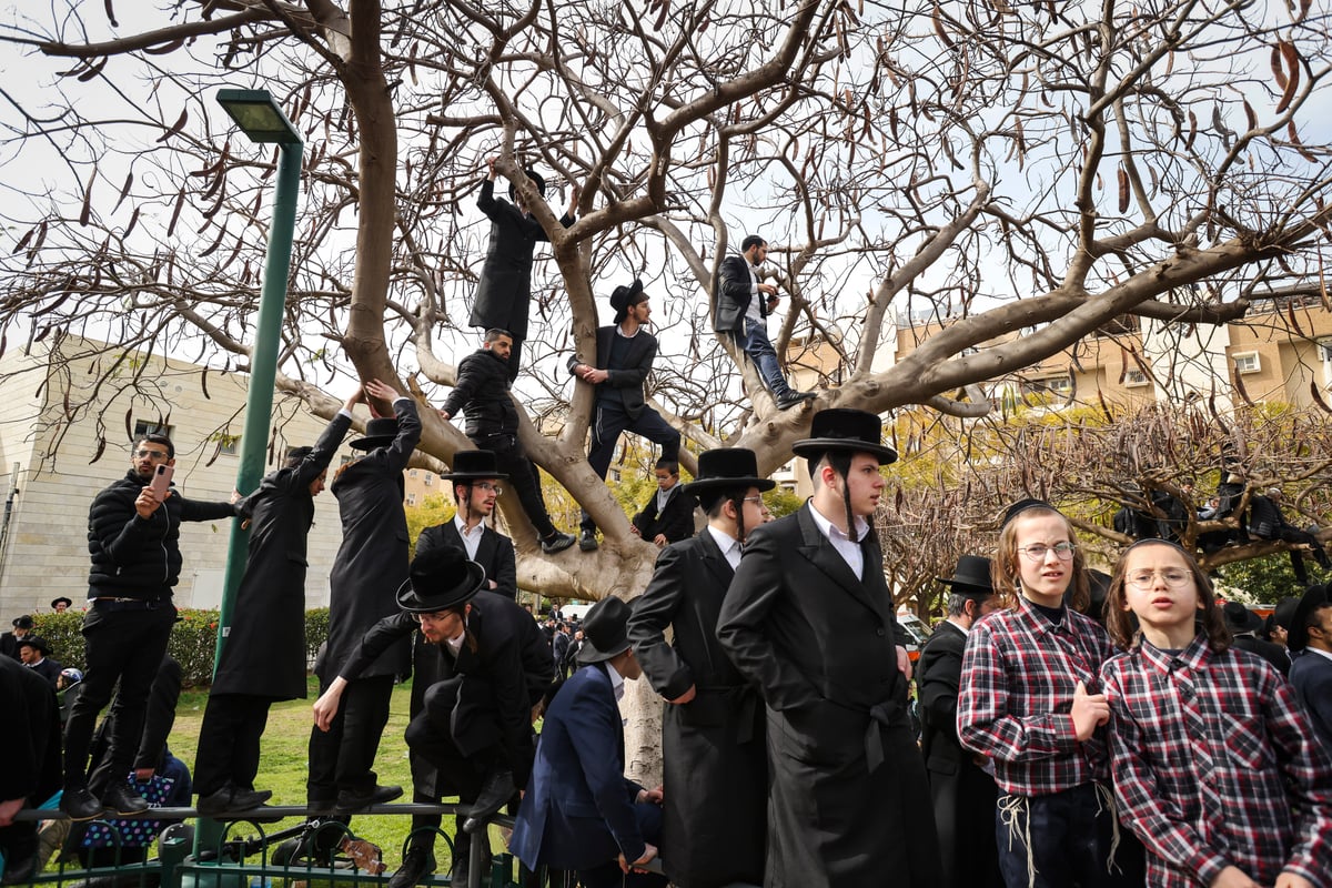 מהפטירה ועד הקבורה - ב-182 תמונות • צפו