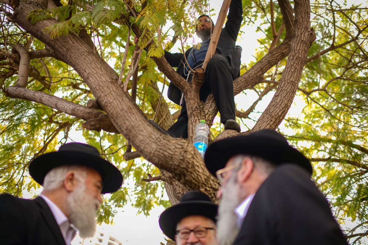 מהפטירה ועד הקבורה - ב-182 תמונות • צפו