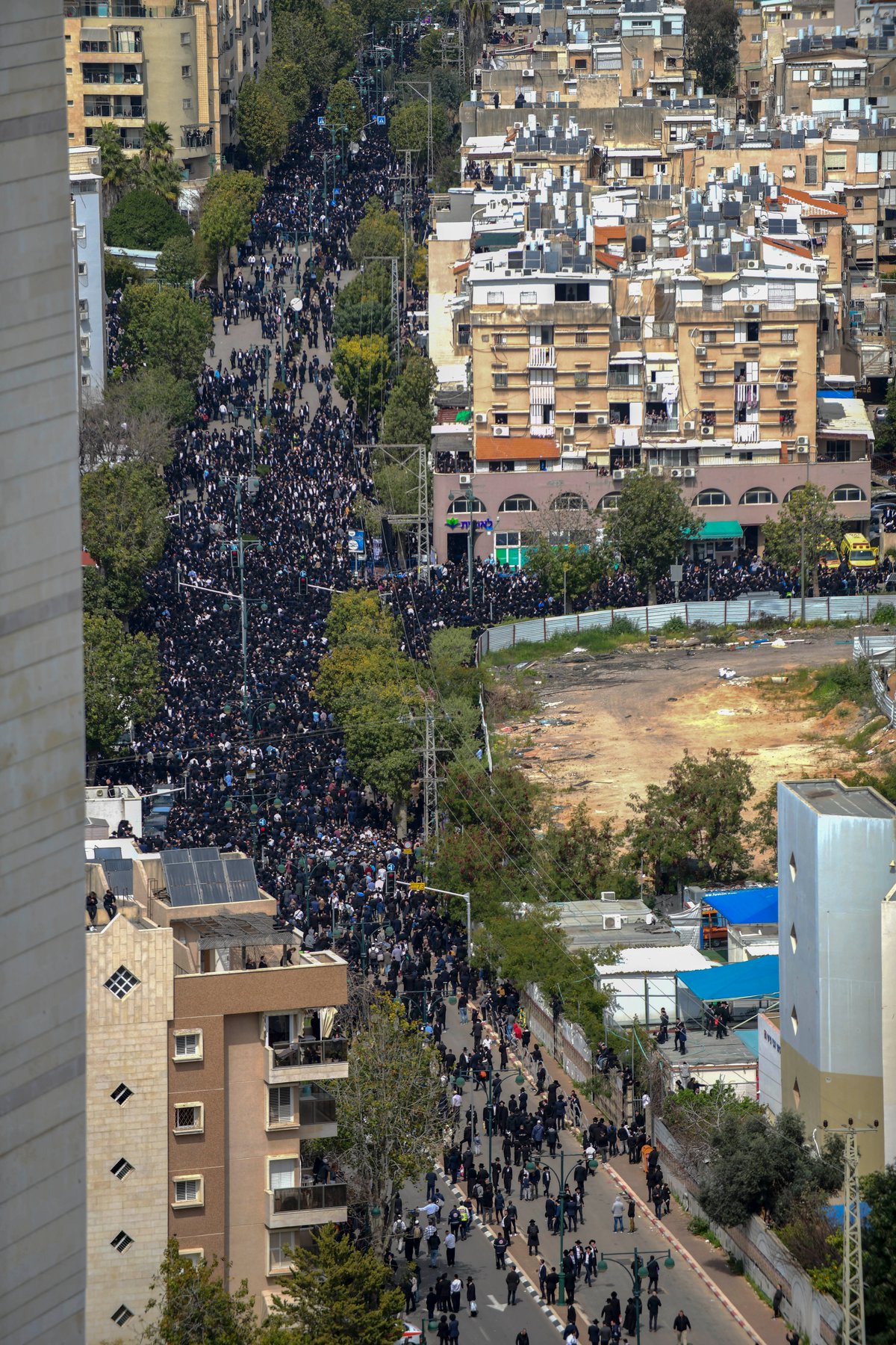 מהפטירה ועד הקבורה - ב-182 תמונות • צפו