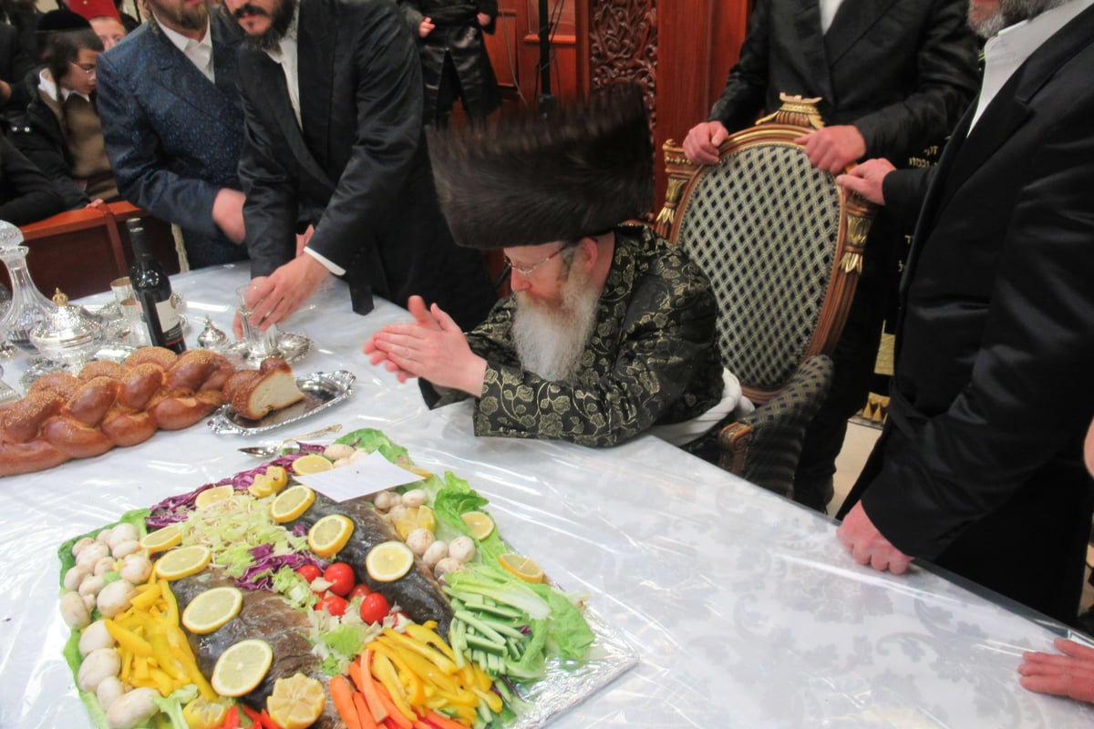 האדמו"ר רקד על השולחן; פורים בקרעטשניף קרית גת