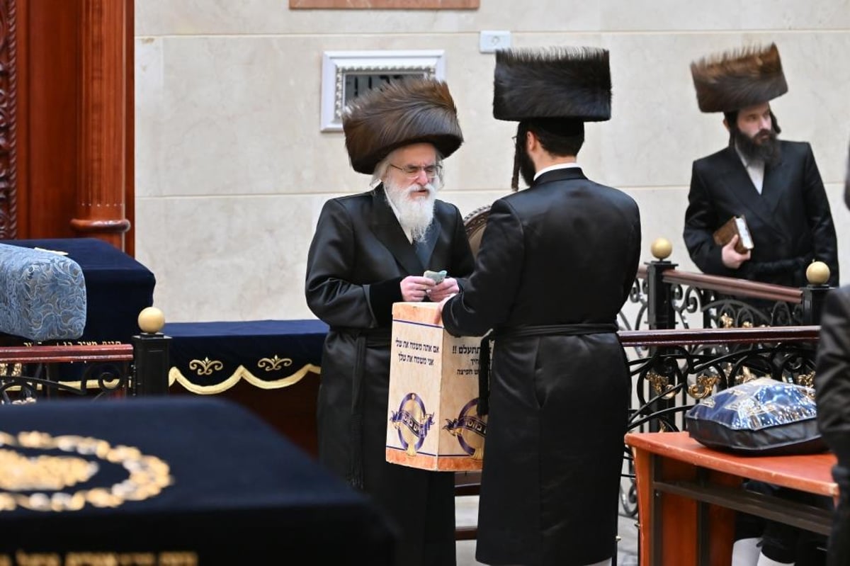 צפו: מראות חג הפורים בחצר חסידות ויז'ניץ