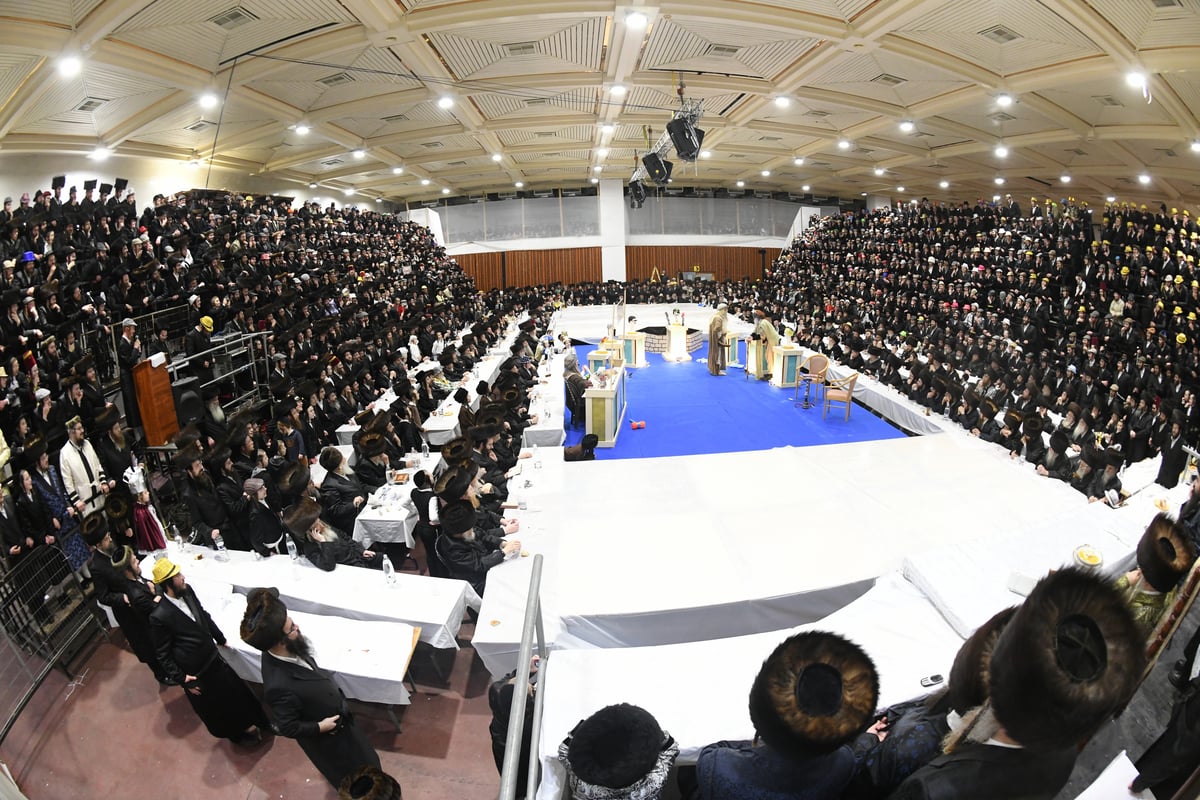 'גילופין טיש': חג הפורים בחסידות צאנז • צפו