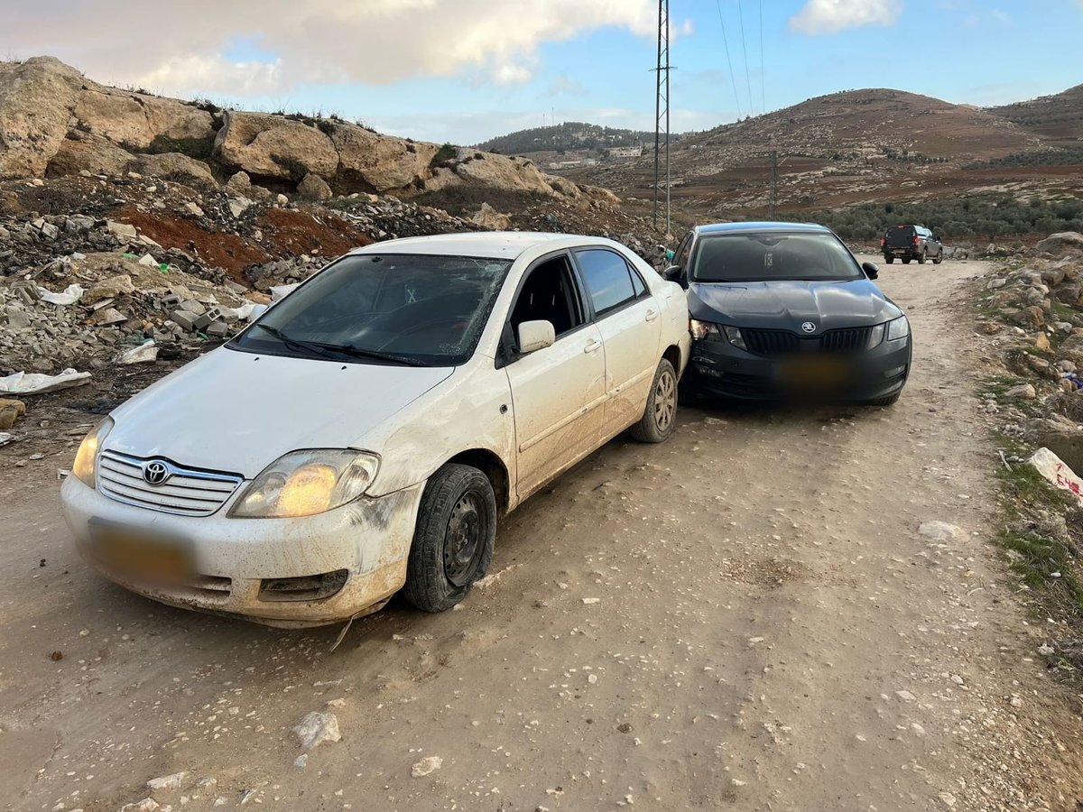 גנב הרכבים נתפס כשהוא מתחבא על העץ