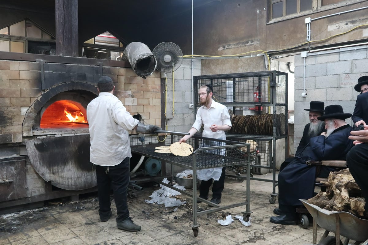 תיעוד: ראב"ד 'העדה' אפה מצות בנתניה