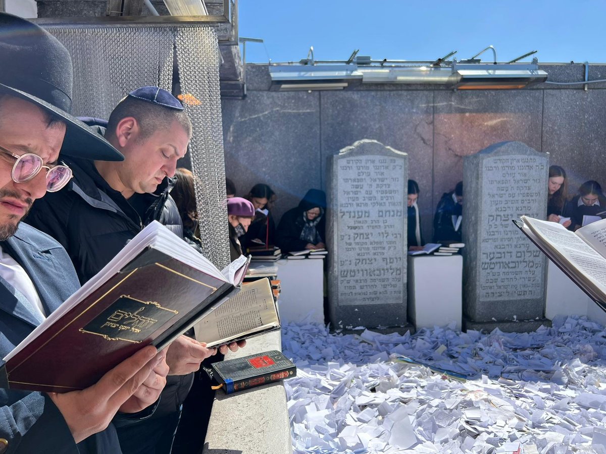 זופניק בכיכר • כל התמונות והנייעס של השבוע