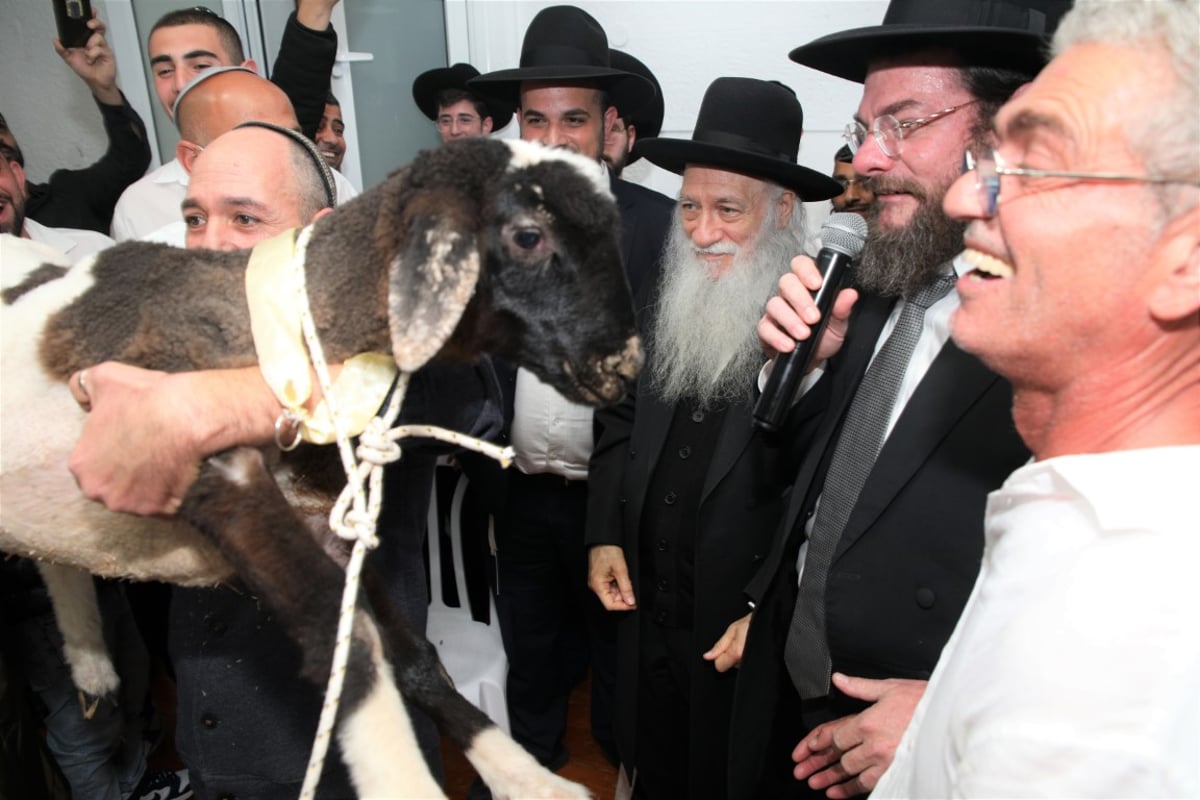 תיעוד נדיר: טקס פדיון 'פטר חמור' ברמת השרון • צפו