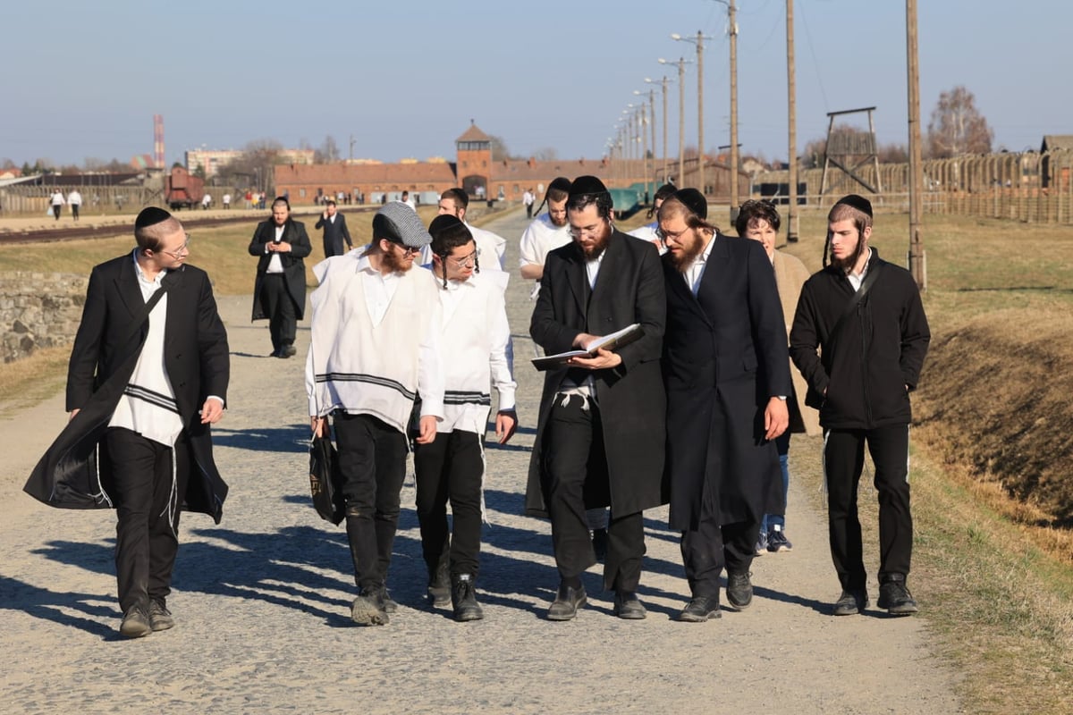 בחורי "אורייתא" יצאו לציוני הצדיקים באירופה